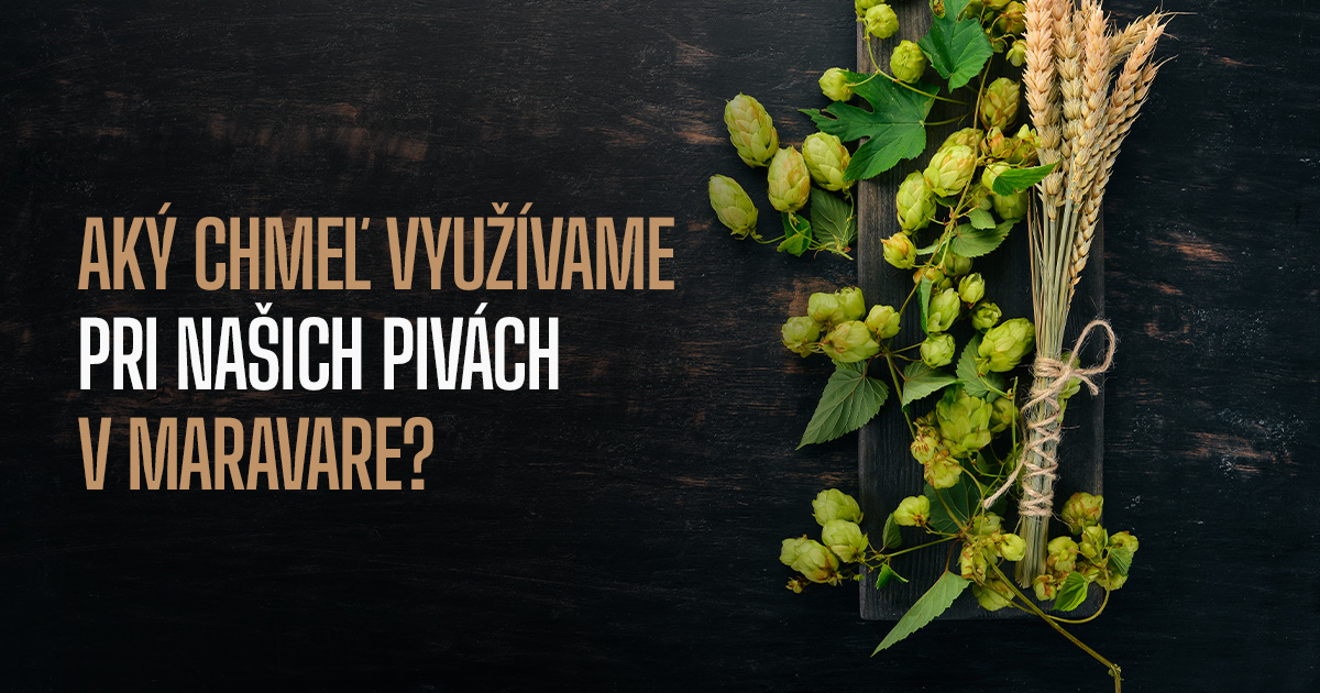 Aký chmeľ využívame pri našich pivách v Maravare?